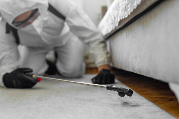 Professional Cockroach Control technician working in Bigfoot, TX